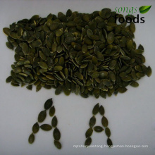 Pumpkin Seeds Kernels GWS Grade AA